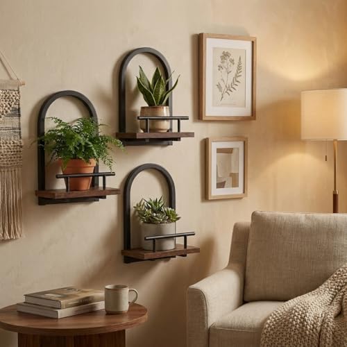 Amaoot Floating Shelves Set for 3, Wall Plant Holder Shelf, Wall Planters