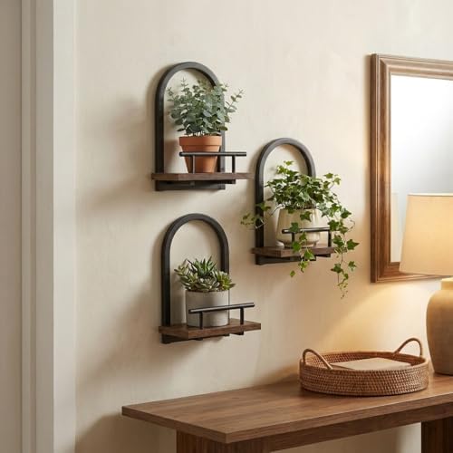 Amaoot Floating Shelves Set for 3, Wall Plant Holder Shelf, Wall Planters
