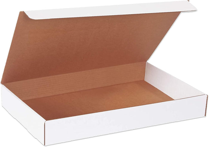 BOX USA Small Shipping Boxes 19"L x 12"W x 2.5"H, 50-Pack | Foldable Corrugated Cardboard Crush-Proof Box for Shipping, Packing, Moving and Storage