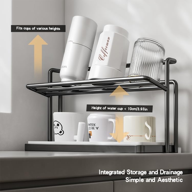 2-Tier Space-Saving Drain Rack with Removable Tray
