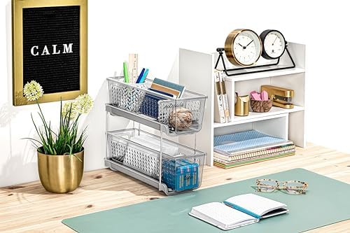 Madesmart Mini 2-Tier Plastic Multipurpose Organizer with Divided Slide-Out S...