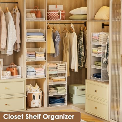 Tiaoheka 4-Tier Stackable Closet Organizers and Storage Shelves, Foldable Clo...