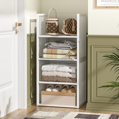 2-Tier Stackable Closet Organizers and Storage Basket, Wire Clothes Shelf Org...