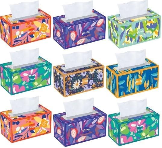Trusted-Care Facial Tissues, 2-Ply, 9 Big Boxes (230 Tissues per Box, 2,070 T...