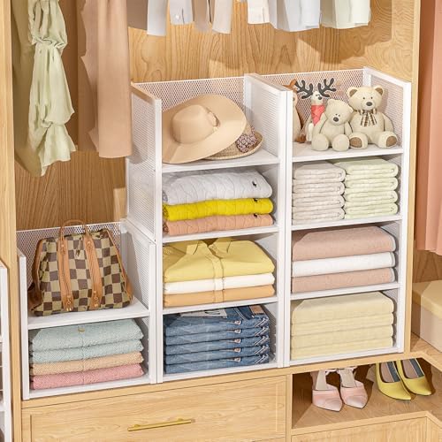 2-Tier Stackable Closet Organizers and Storage Basket, Wire Clothes Shelf Org...