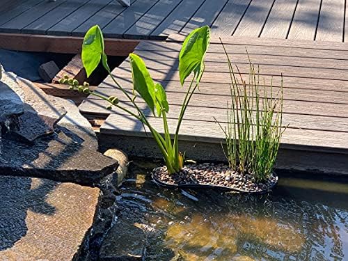 PondH2o Contour Kidney Shaped Pond Plant Basket, 17 Inch (44cm)