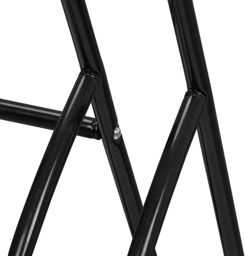 F2C 2-Bike Rack Bicycle Floor Stand Two Bike Parking Garage Storage Rack for ...