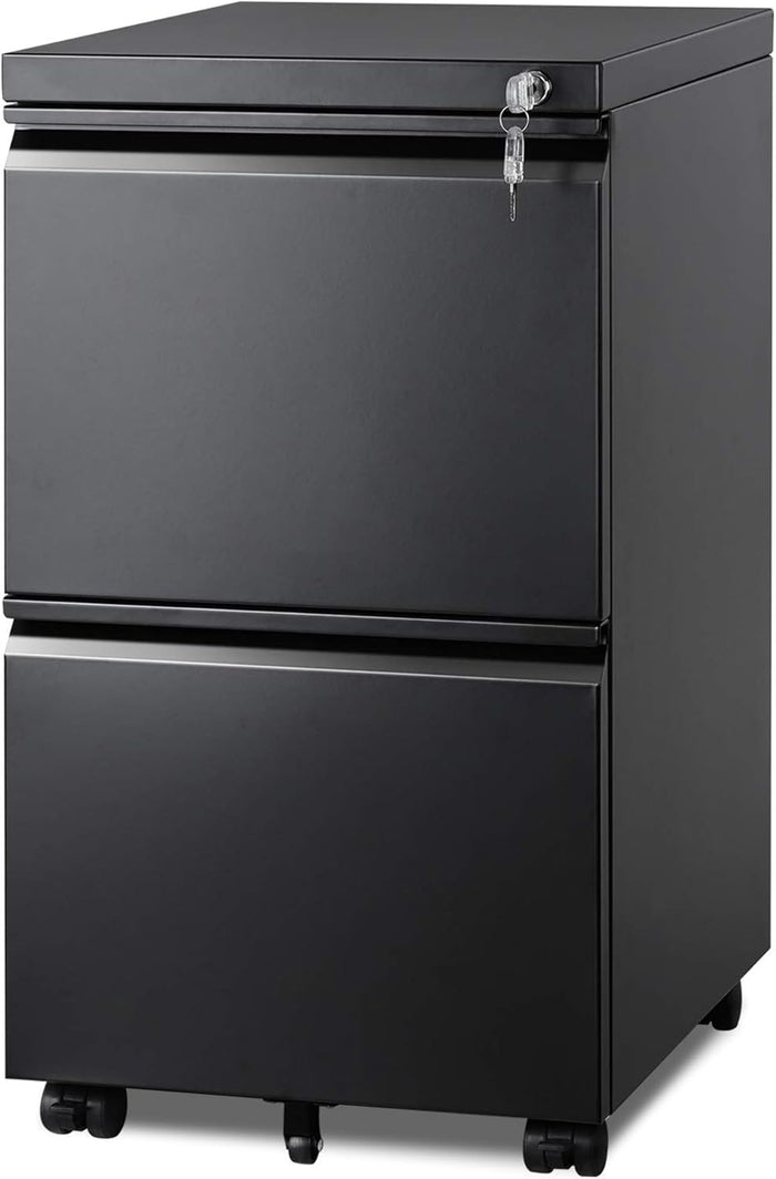 DEVAISE 2 Drawer Metal File Cabinet, Fully Assembled Filing Cabinet