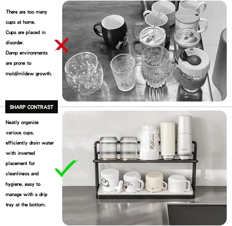 2-Tier Space-Saving Drain Rack with Removable Tray