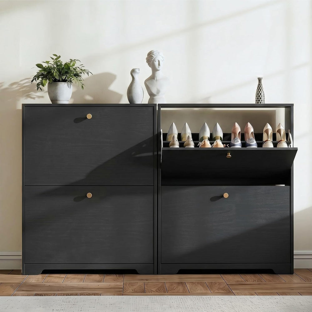 Nicetree Shoe Cabinet with 2 Flip Drawers, Entryway Shoes Organizer, Black