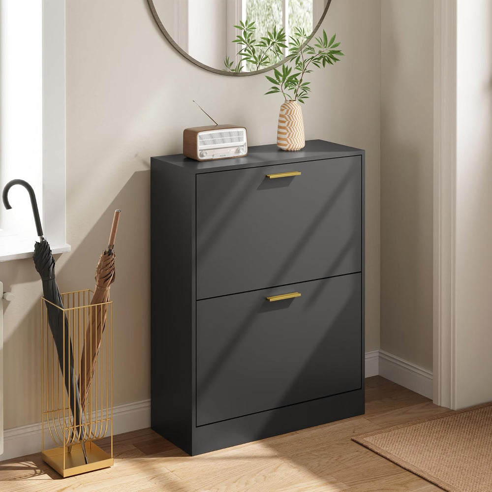 Shoe Storage Cabinet with 2 Flip Drawers and Rectangular Base, Black丨Modern S...