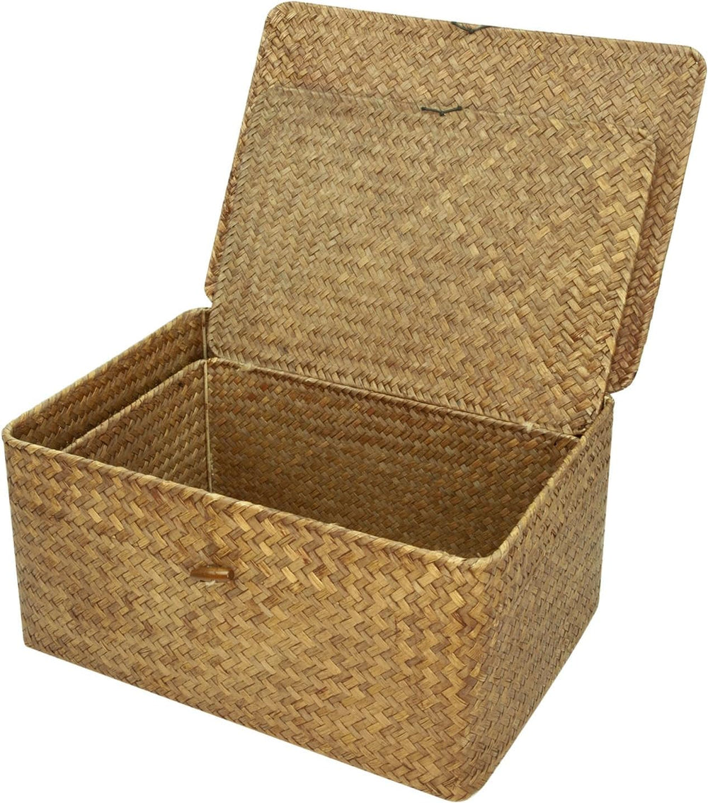 2-Pack Wicker Storage Baskets with Lid, Coffee Large & X-Large Rectangula...