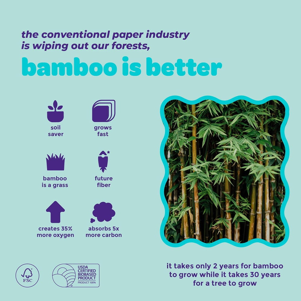 Bim Bam Boo | 3-Ply 115 Sheet/Package Facial Tissue 6 Pack