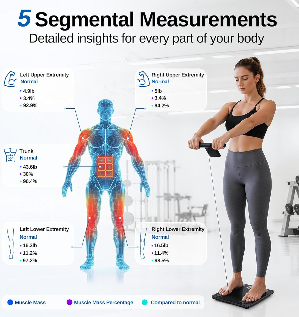 GE Smart Scale for Body Fat with BMI Muscle Mass: 5.3-inch Handle Display