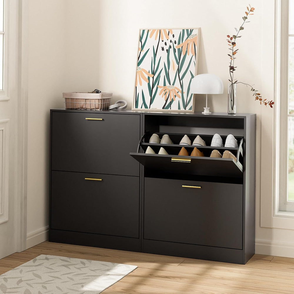LYNSOM Modern Entryway Shoe Cabinet with 2 Flip Drawers and Top Display, Blac...