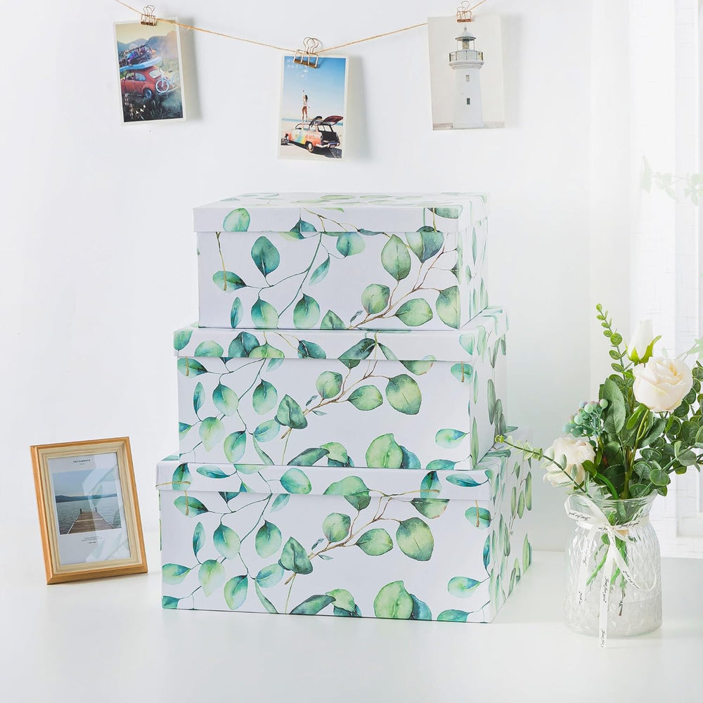 Soul & Lane - Eucalyptus Decorative Storage Boxes with Lids, Set of 3
