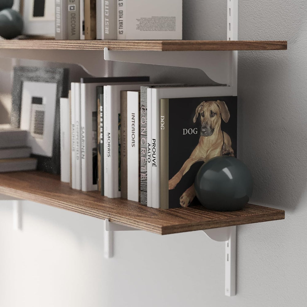 Wallniture Turin 60 Inch Floating Bookshelf, 10" Deep Adjustable Wall Sh...