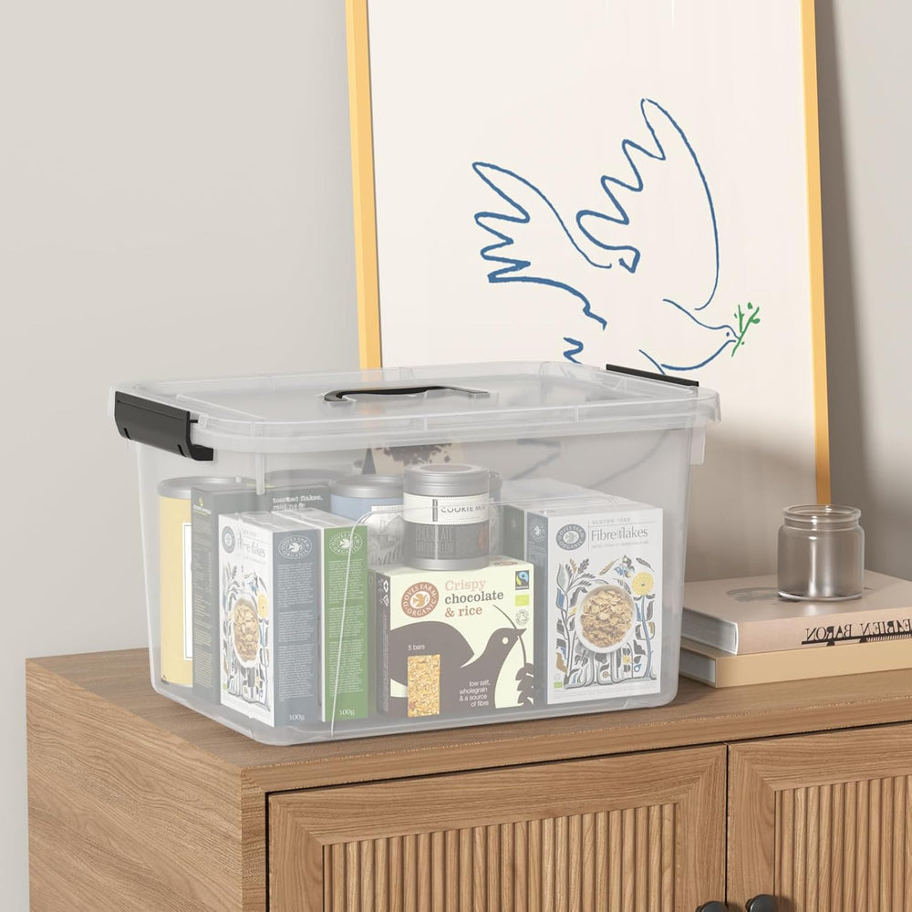 Plastic Storage Boxes with Lids, 4-Pack 18L Clear Latching Bins