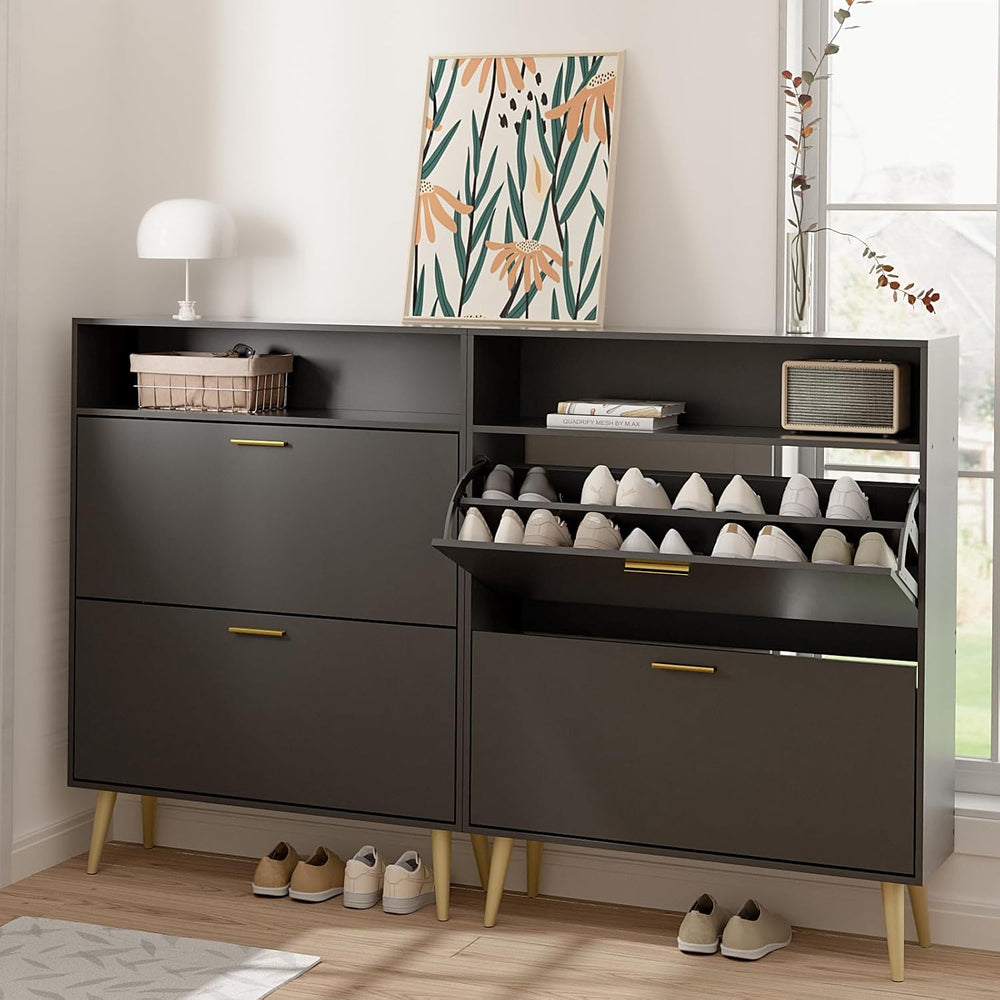 LYNSOM Modern Entryway Shoe Cabinet with 2 Flip Drawers and Open Storage, Bla...