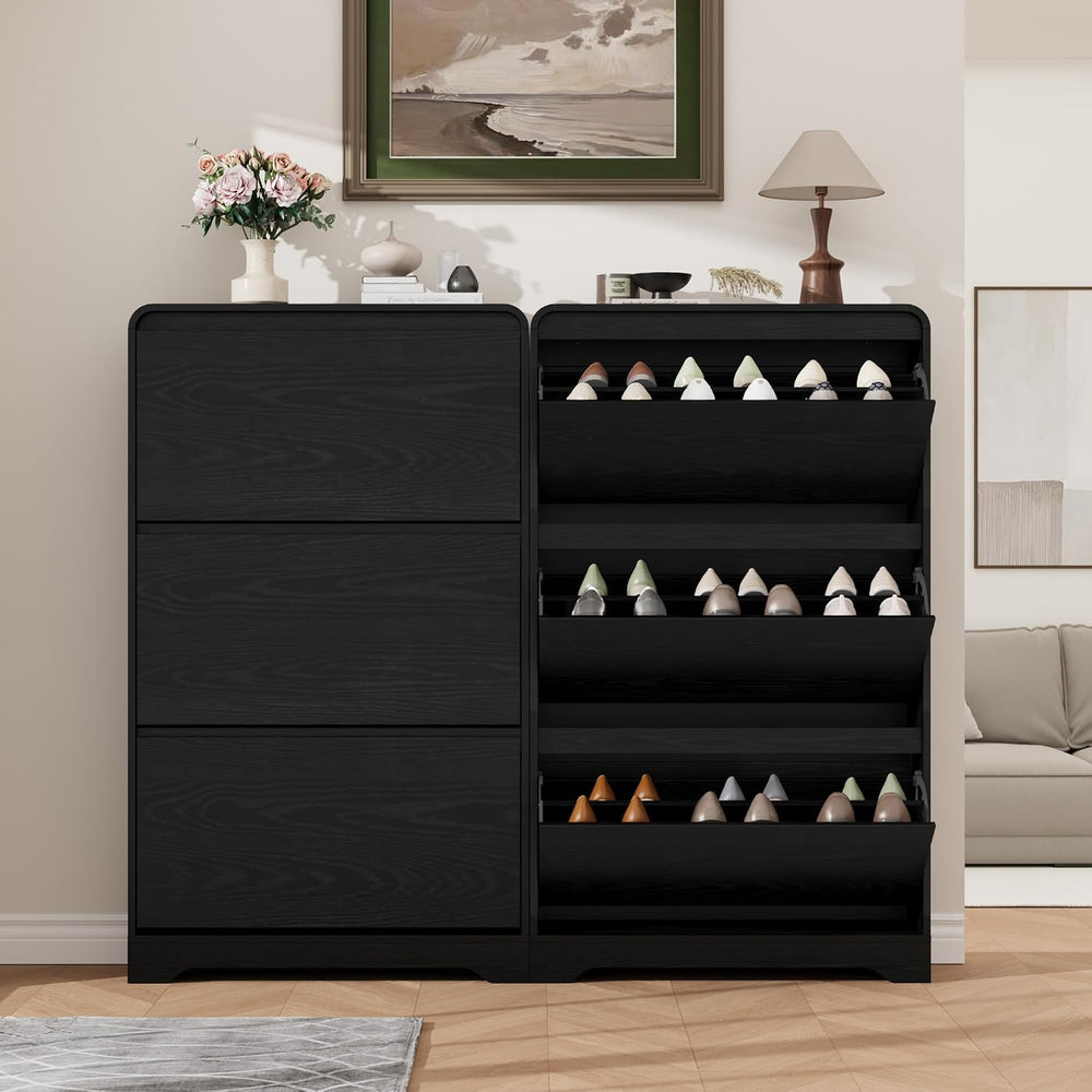 Garvee Hidden Shoe Cabinet, Black