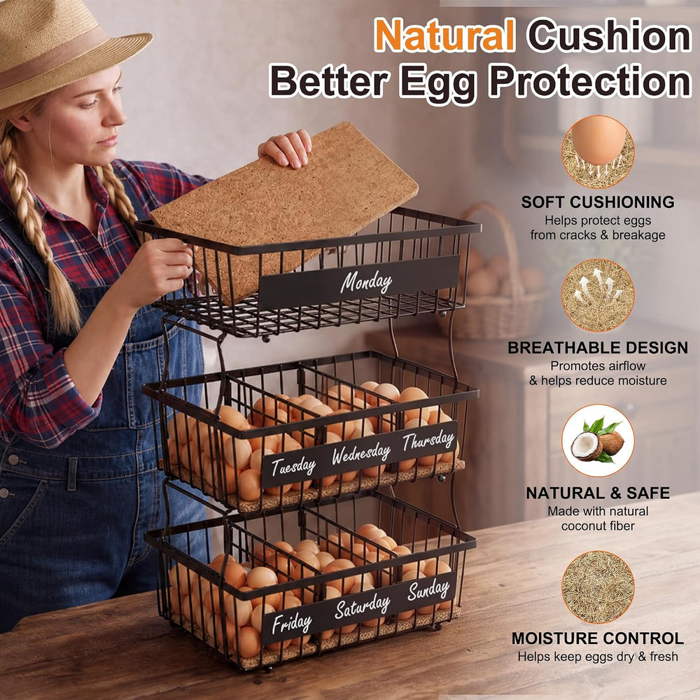 Egg Holder Countertop with Coco Coir Liner & 5 Dividers for Egg Storage
