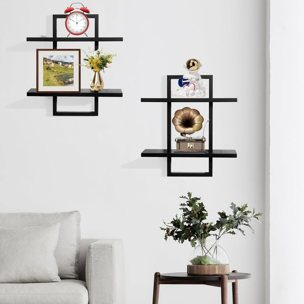 Floating Shelves for Wall,Decorative Wall Shelves Black,Plants Shelf Framed