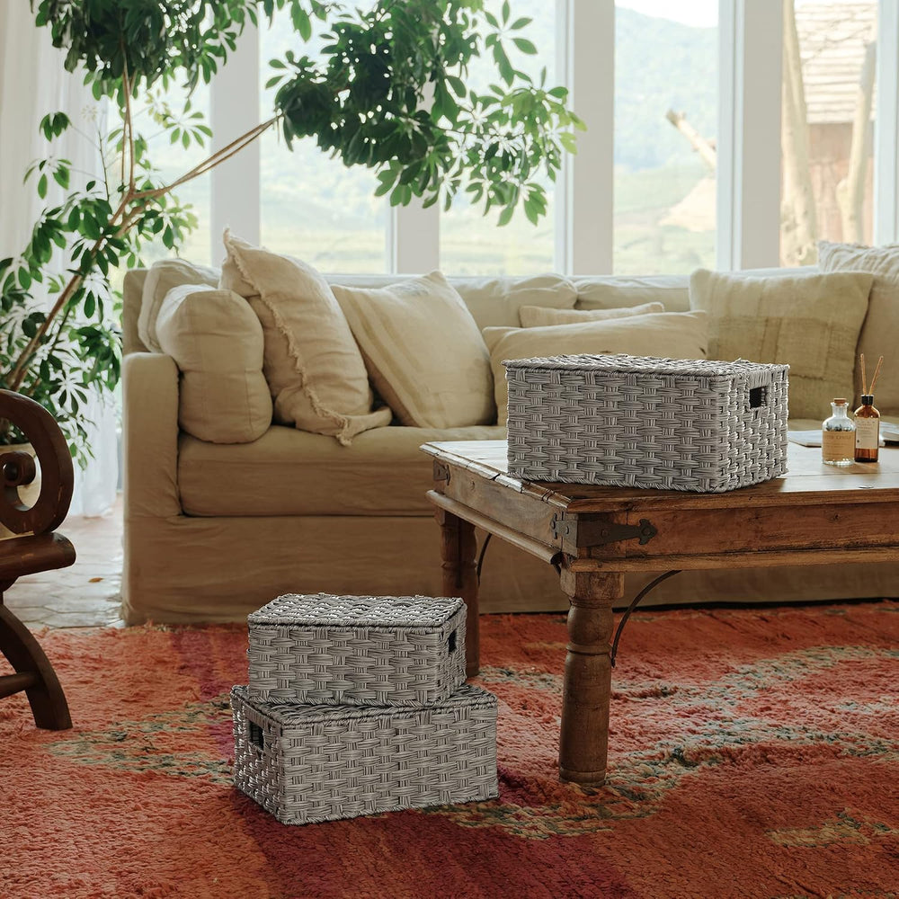 GRANNY SAYS Wicker Basket with Lid, Wicker Storage Baskets for Shelves