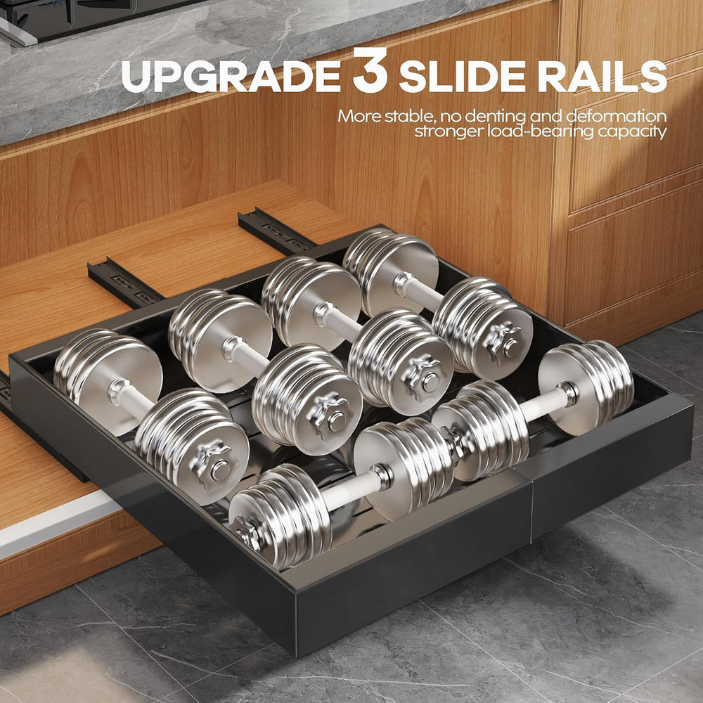 Seinloes 2 Pack Expandable Pull Out Cabinet Organizer 16.5"Deep With Rai...