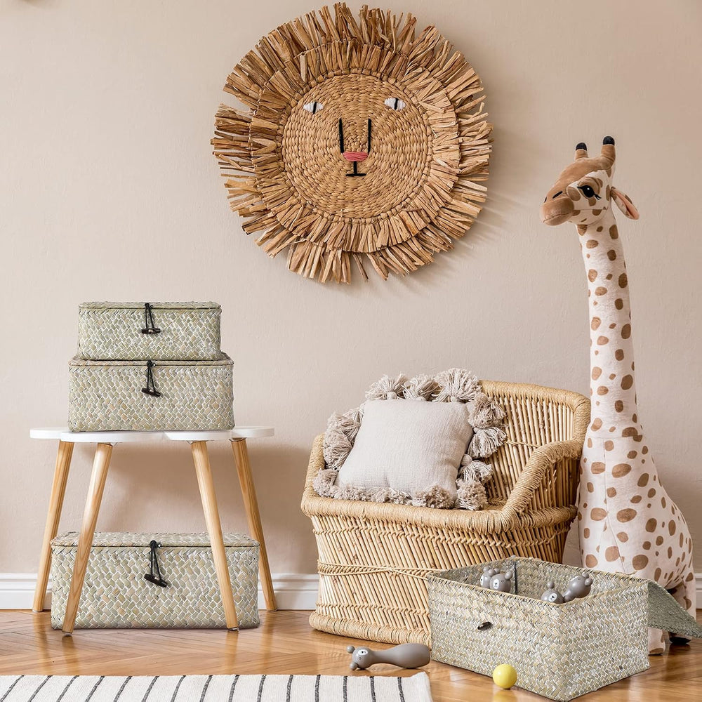 Woanger Set of 4 Wicker Baskets with Lids, White