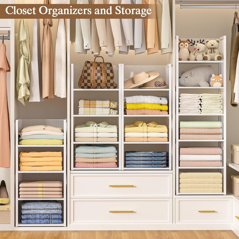 4-Tier Stackable Closet Organizers and Storage Basket, Wire Clothes Shelf Org...