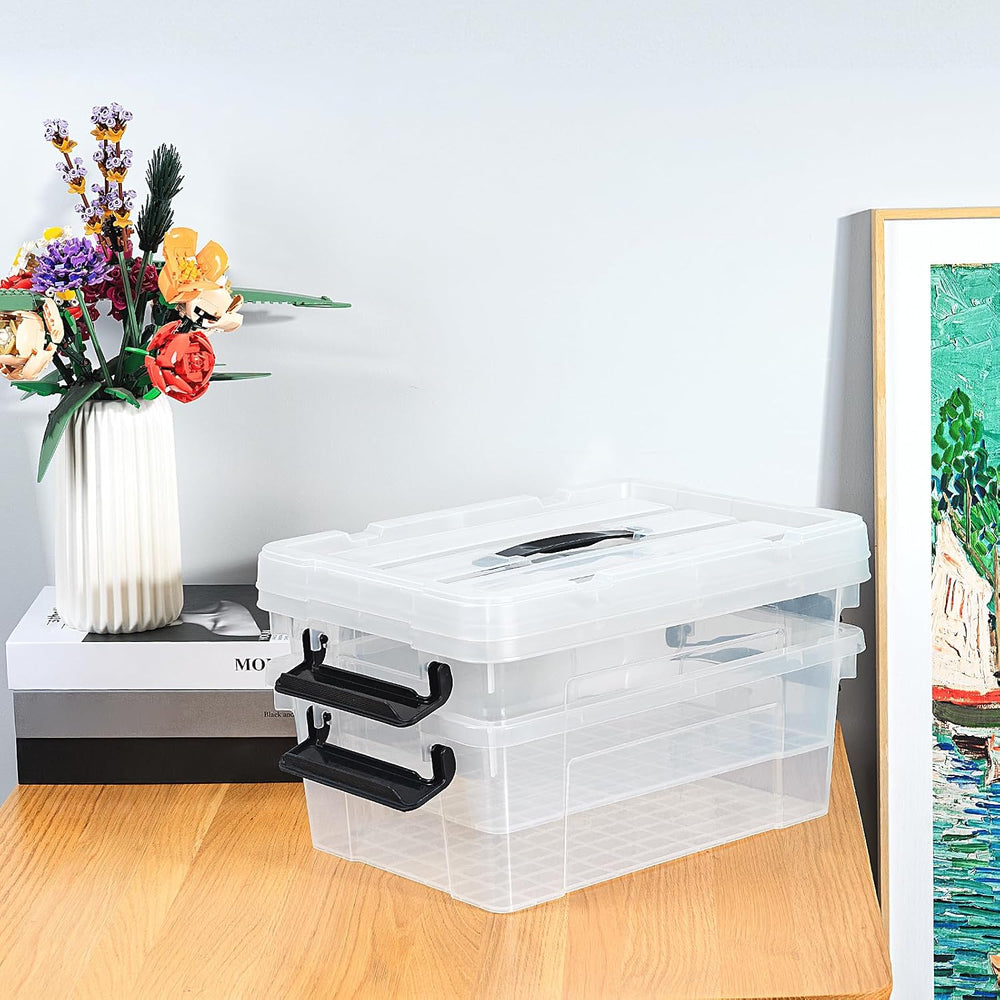Cetomo Lidded Storage Bin with Handle, Storage Bins with Lid, Organizing Cont...
