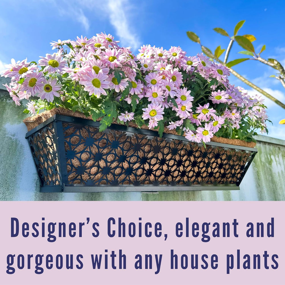 LaLaGreen Deck Black Wall Planter (24 in, 2 Pack) Window Box for Flowers