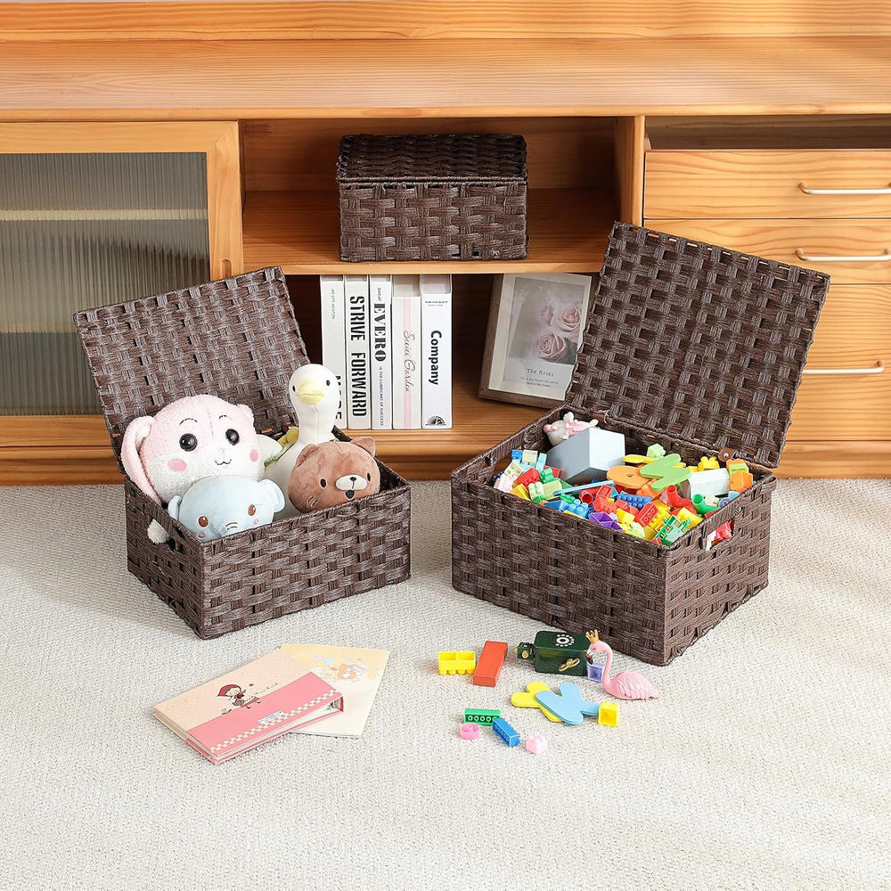 Woven Storage Bins With Lids Shelf Baskets Wicker Organizing Rattan Boxes Han...