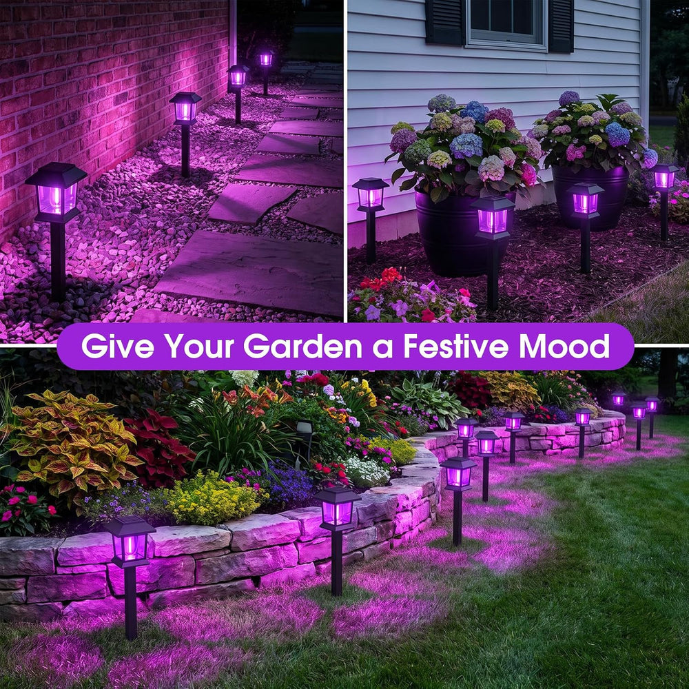 Greluna Solar Lights Outdoor,12 Pack Purple Waterproof Auto On/Off Solar Path...