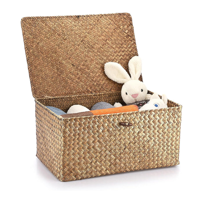 Hipiwe Wicker Shelf Baskets Bin with Lid Woven Storage Box, Coffee X-Large