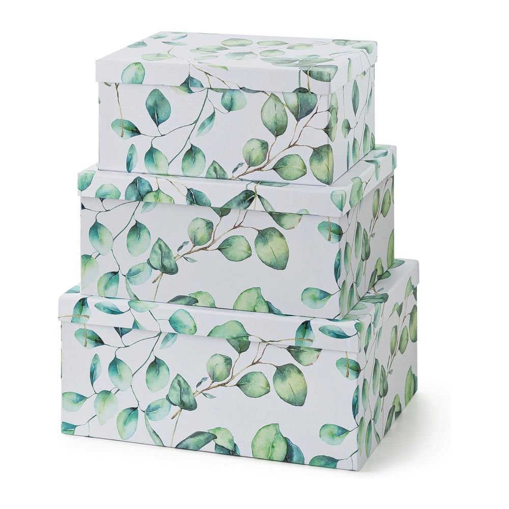 Soul & Lane - Eucalyptus Decorative Storage Boxes with Lids, Set of 3