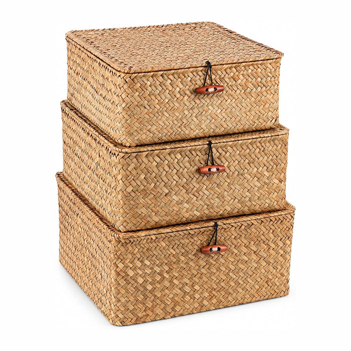 Square Handwoven Seagrass Wicker Storage Baskets with Lids, Set of 3